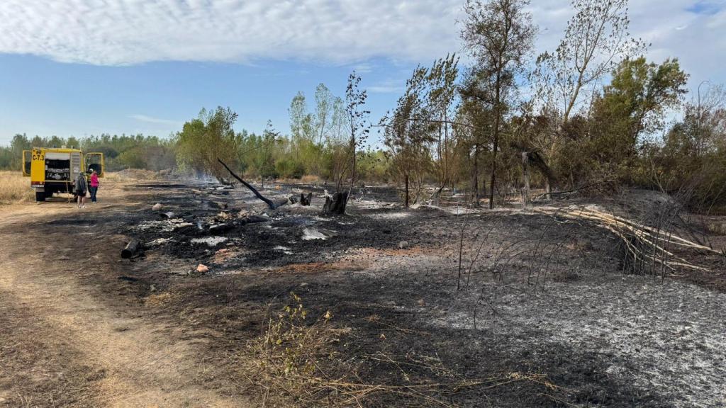 Imagen del estado este viernes en el incendio de Villarejo de Órbigo (León)