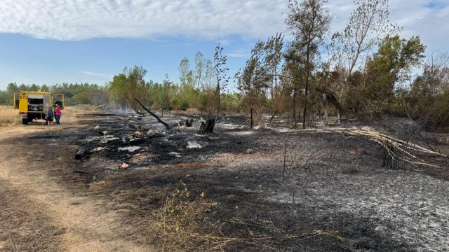 Imagen del estado este viernes en el incendio de Villarejo de Órbigo (León)