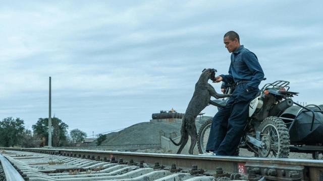 El actor Eddie Peng con el perro negro Xin, el coprotagonista canino, en una escena de 'Black Dog'.