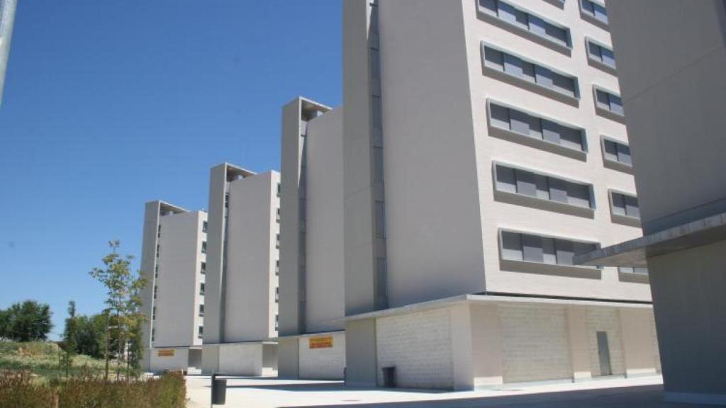 Promoción Nuevo Amate.