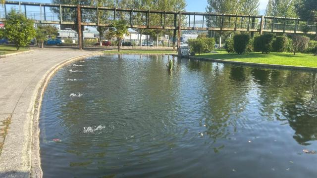 Estanco del Pasatiempos, en Betanzos.