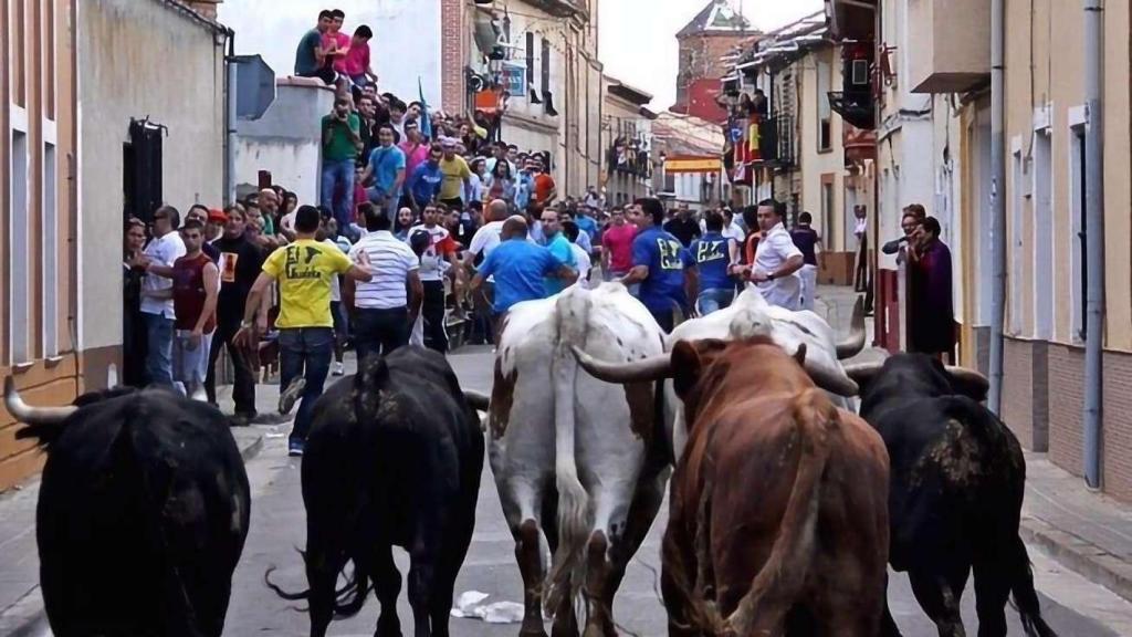 Encierro en Mayorga.