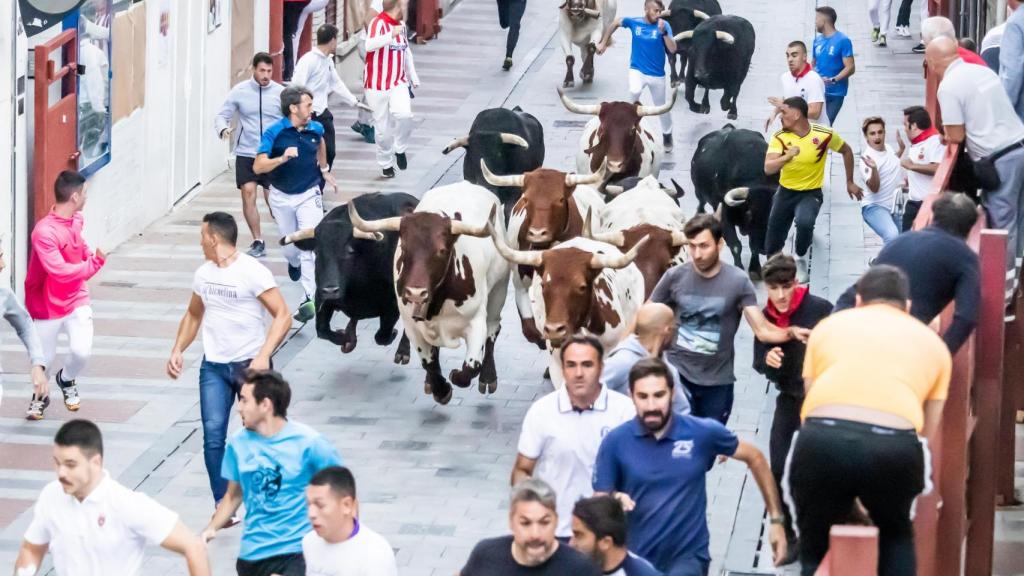 Cuarto encierro de Guadalajara.