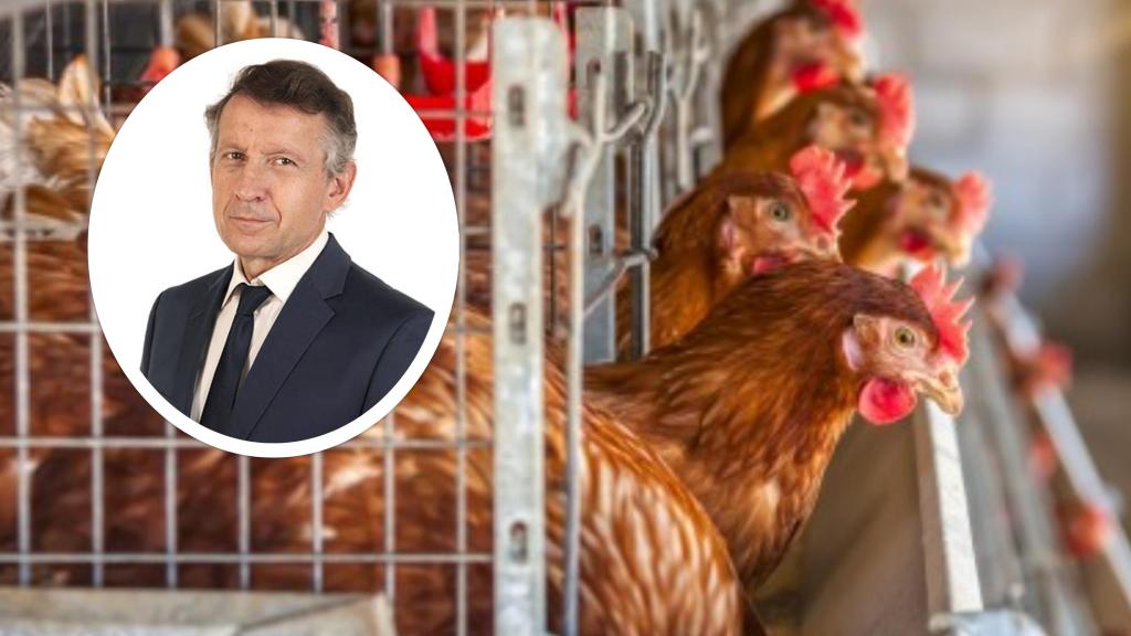 Rufino Álamo, presidente del Colegio de Veterinarios de Valladolid.