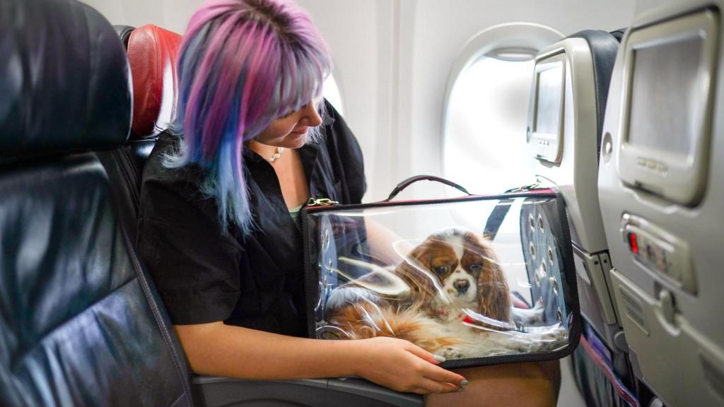 Una chica y un perro viajando en un avión.