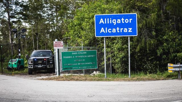 Denunció que en Alligator Alcatraz lo sometieron a tortura psicológica para firmar su deportación.