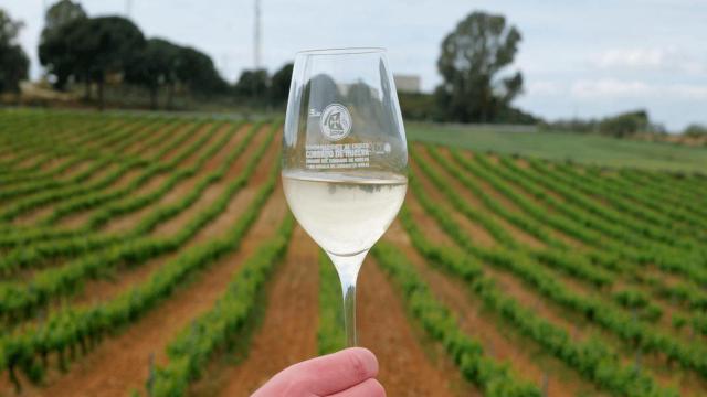 El vino naranja de Condado de Huelva.