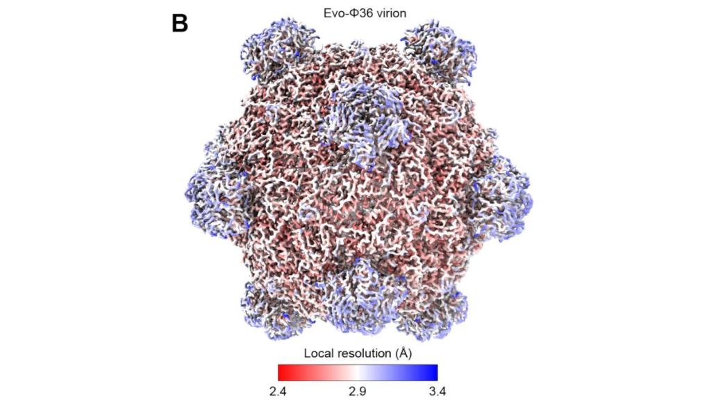 Uno de los virus generados por IA