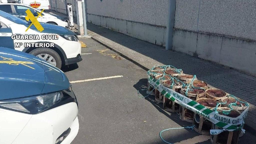 Nasas robadas en el muelle de Oza de A Coruña.