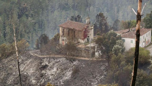 Zonas calcinadas por el incendio de Pontón.