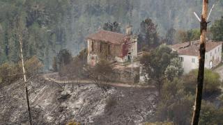 Zonas calcinadas por el incendio de Pontón.