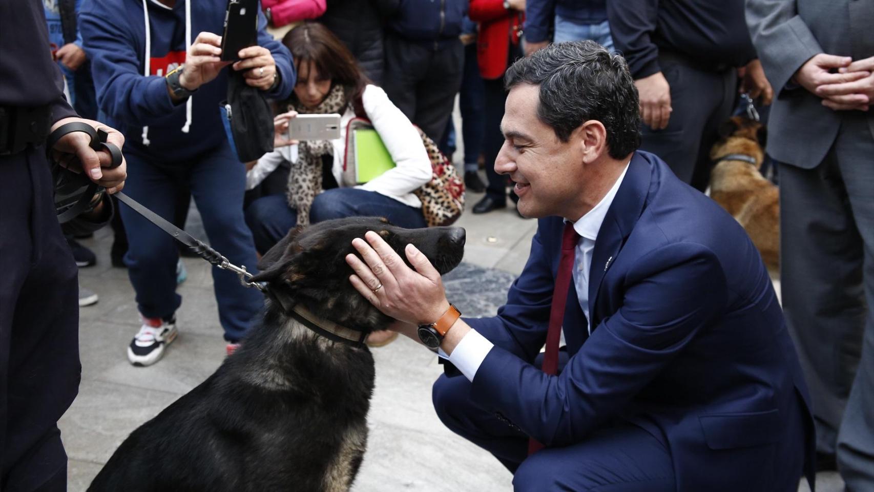 El presidente de la Junta de Andalucía, Juanma Moreno, con un perro, en una imagen de archivo.