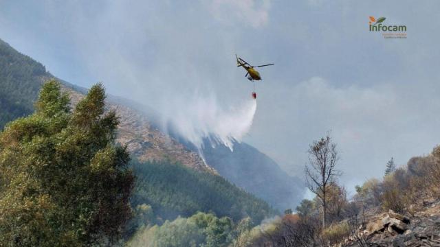 Incendio Peñalba de la Sierra (Guadalajara)