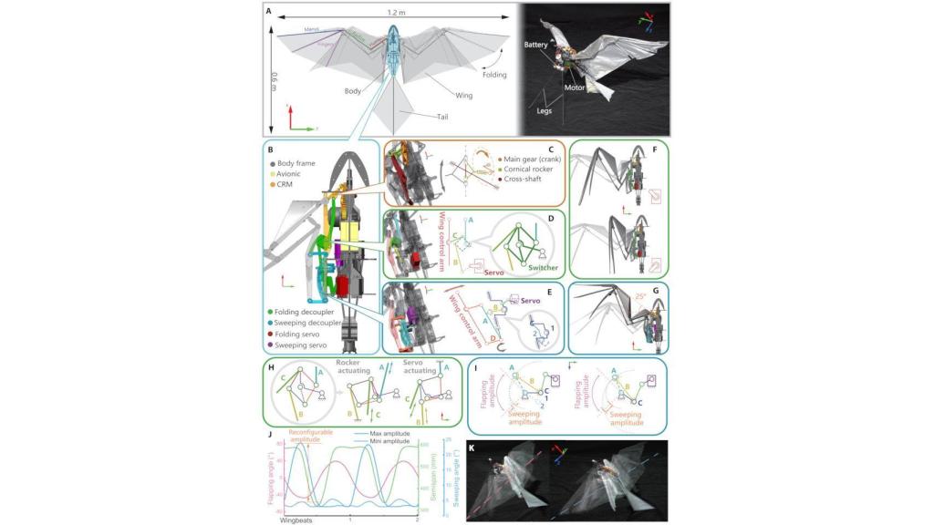 Mecanismo de RoboFalcon 2.0
