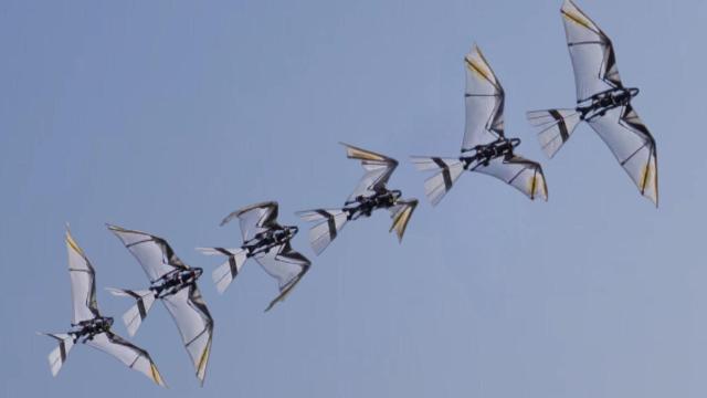 Robot volador RoboFalcon 2.0