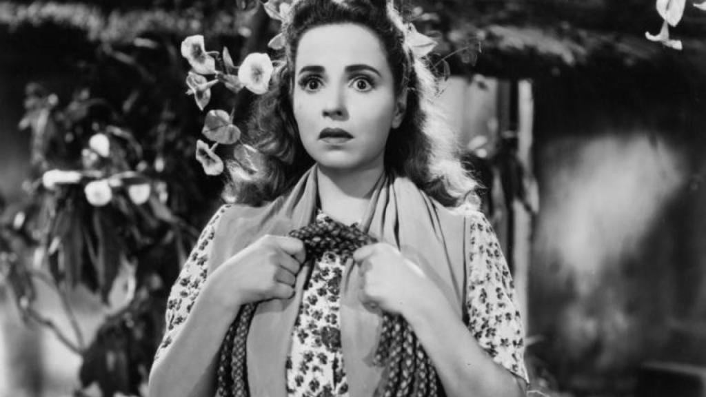 Un fotograma de la película 'La vuelta al nido'