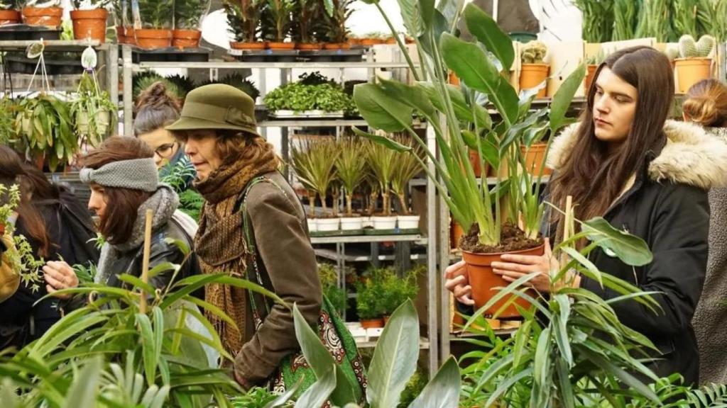 Una mujer comprando plantas en un vivero.