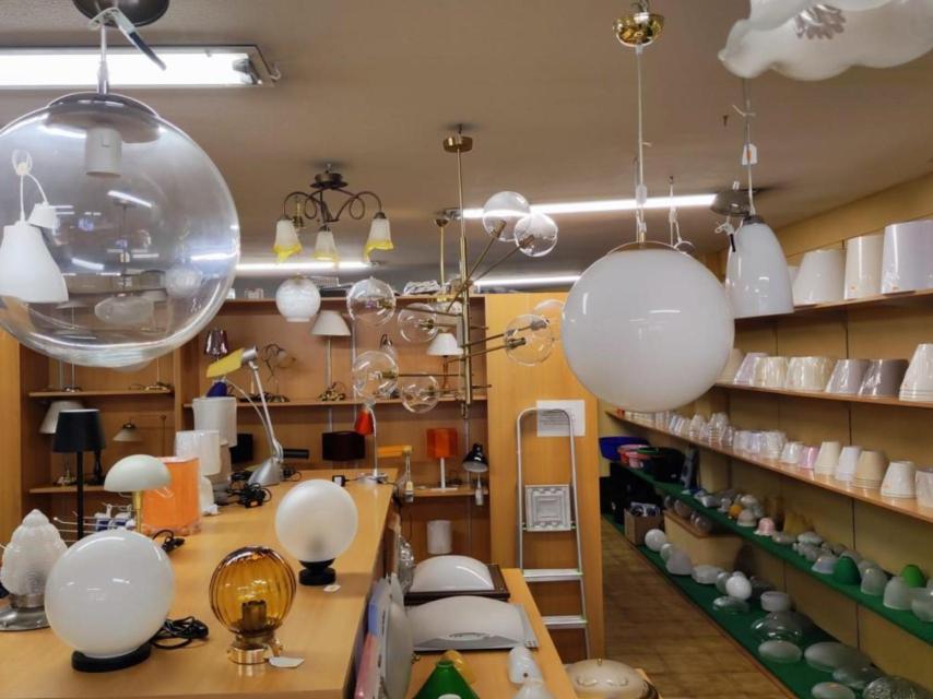 Tulipas y lámparas en la sección de iluminación de Marlo.