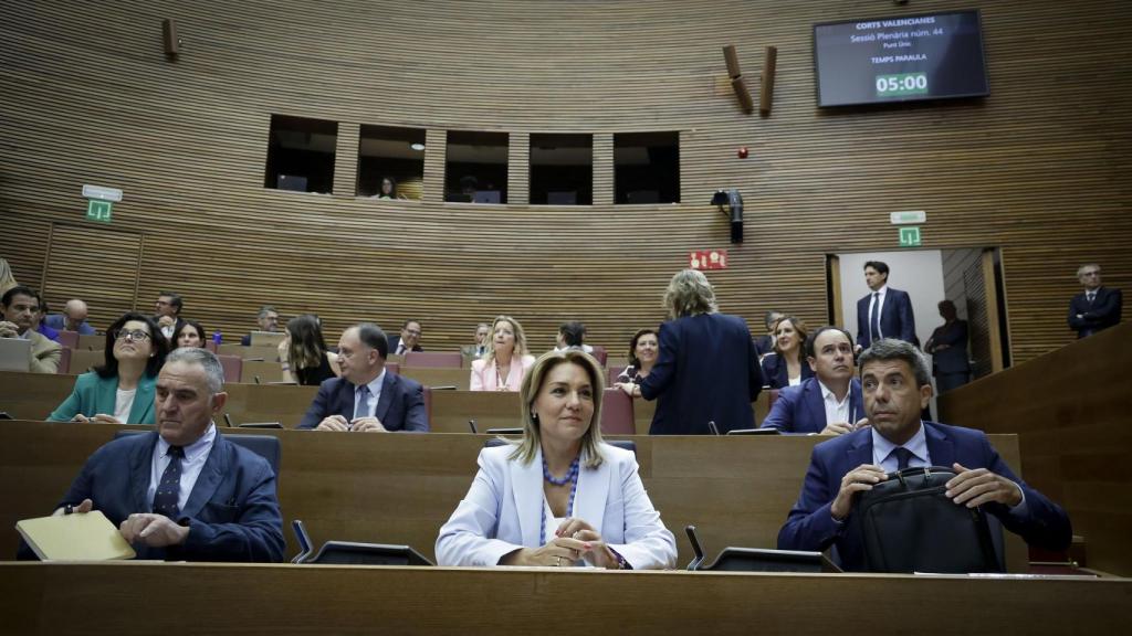 La vicepresidenta y consellera de Servicios Sociales, Vivienda e Igualdad, Susana Camarero. José Cuéllar / Corts