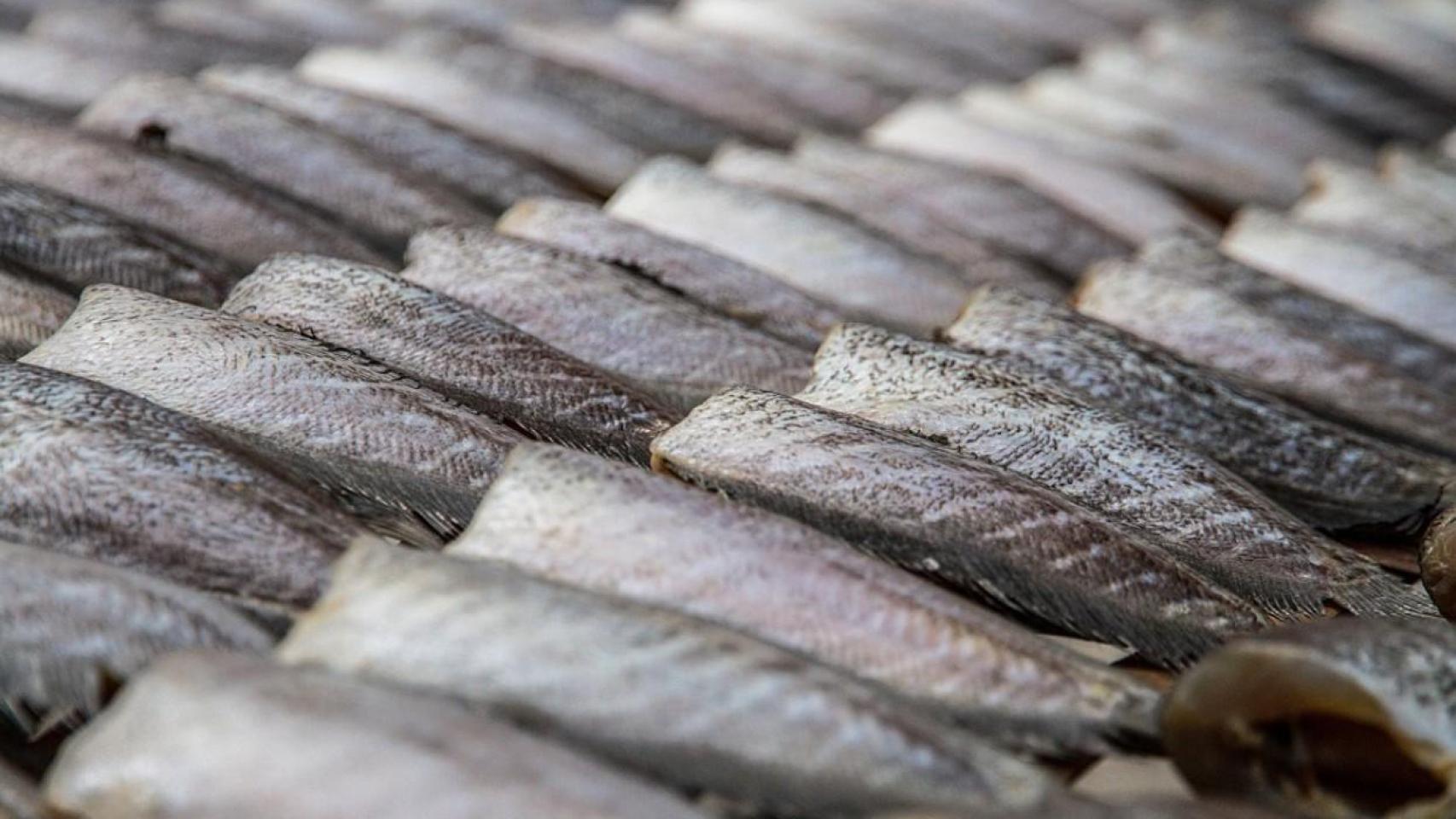 Pescado puesto a secar.
