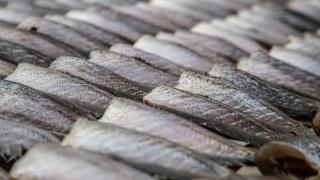 Pescado puesto a secar.