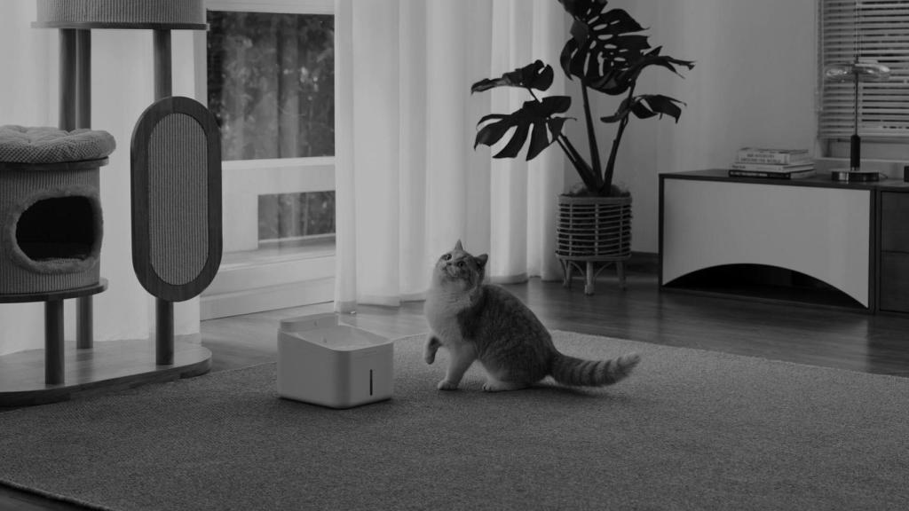 Visión nocturna de la cámara