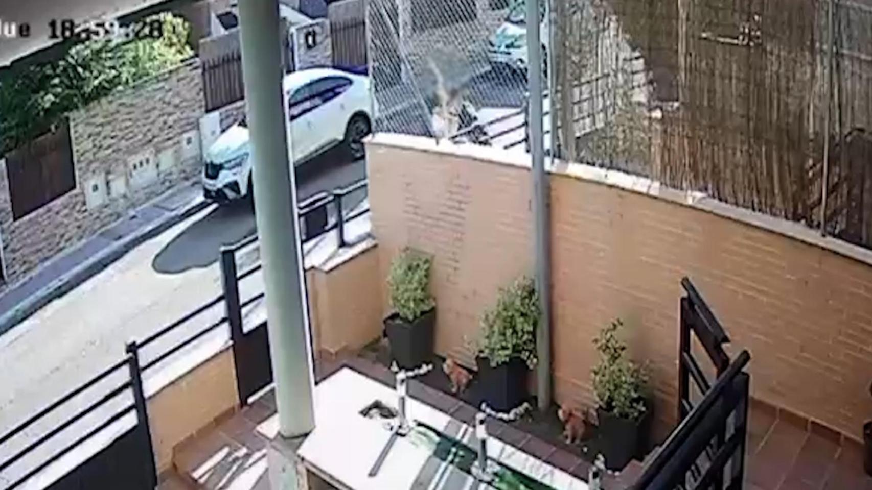 Momento en el que el ladrón aplica un 'mataleón' a la víctima. Foto: Guardia Civil.