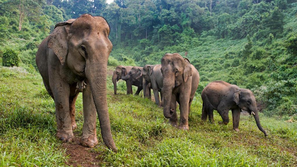 Anabel López: Al principio, me decía a mí misma: '¿Pero qué demonios hace esta gente? ¿Por qué les maltratan?'. Pero a medida que empiezas a meterte en el mundillo comienzas a entender que esto no es tan sencillo.