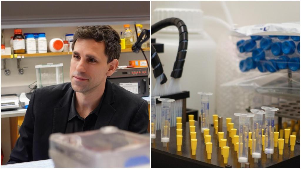 El equipo del gallego César de la Fuente presenta una plataforma de IA que diseña antibióticos nuevos