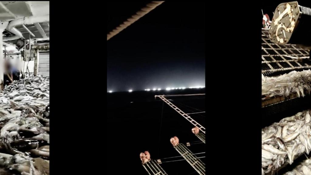 Imágenes del documental de la ZEE argentina en el área de la milla 201.