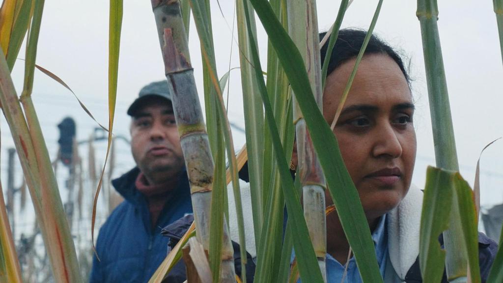 Una imagen de 'Historias del buen valle'