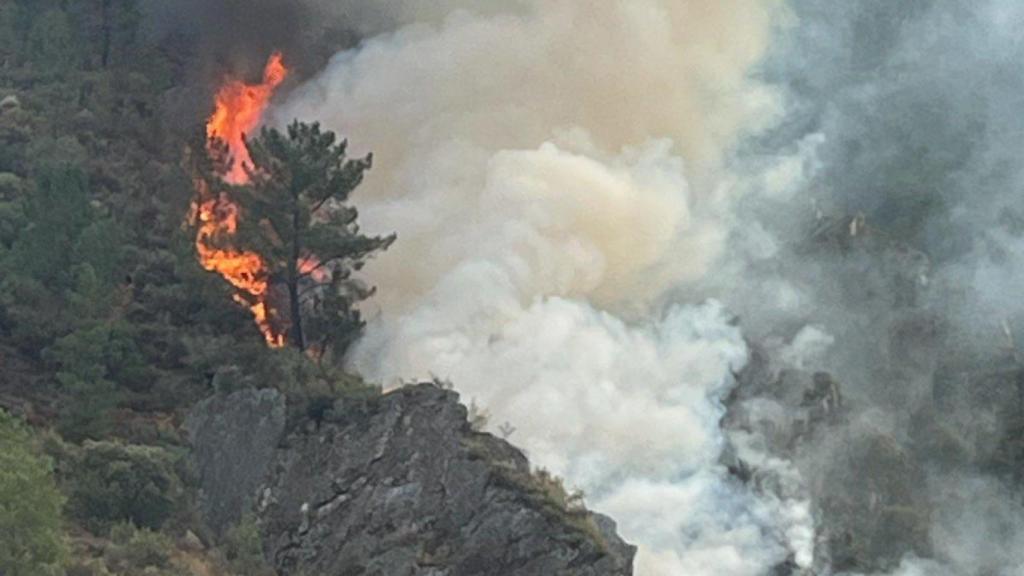 Incendio en A Pobra do Brollón