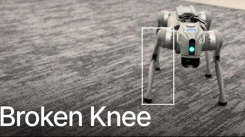 Simulación de una rodilla rota en un robot cuadrúpedo.