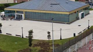 Destrozos en Monte Alto por los jabalís