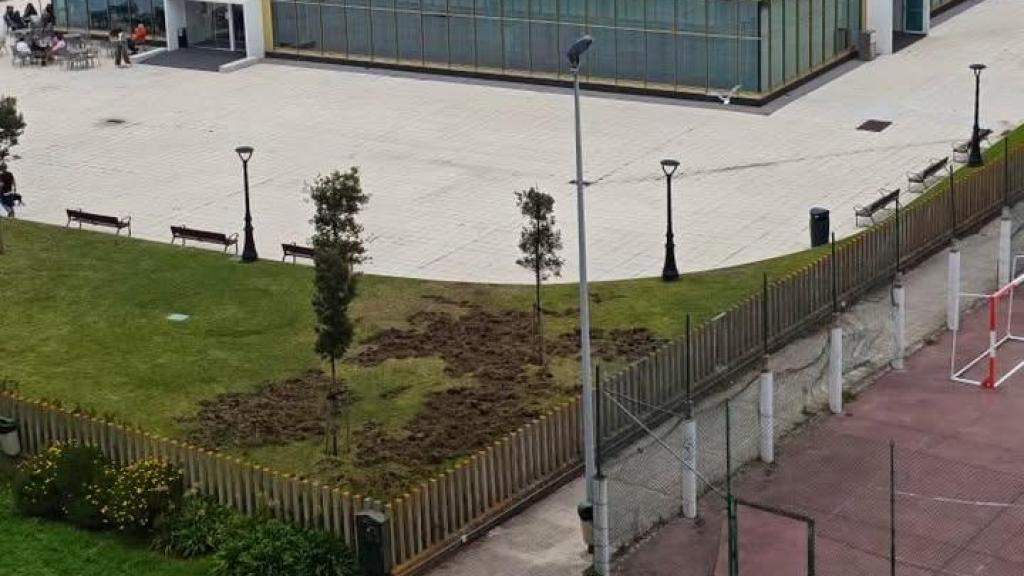 Destrozos en Monte Alto por los jabalís