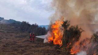Nivel 2 por un incendio forestal en Cerezo de Arriba (Segovia)