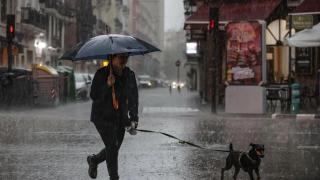 Una mujer pasea al perro bajo la lluvia en València.