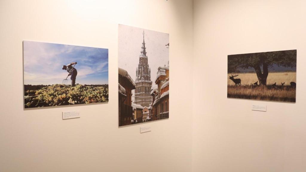 Algunas de las imágenes de la exposición.