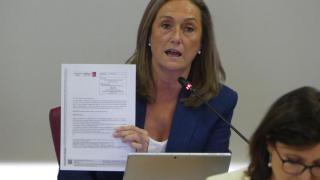 Presidenta del PP de Vigo, Luisa Sánchez