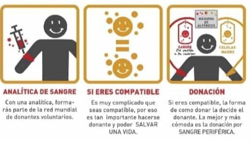 Una ilustración con las claves para donar.