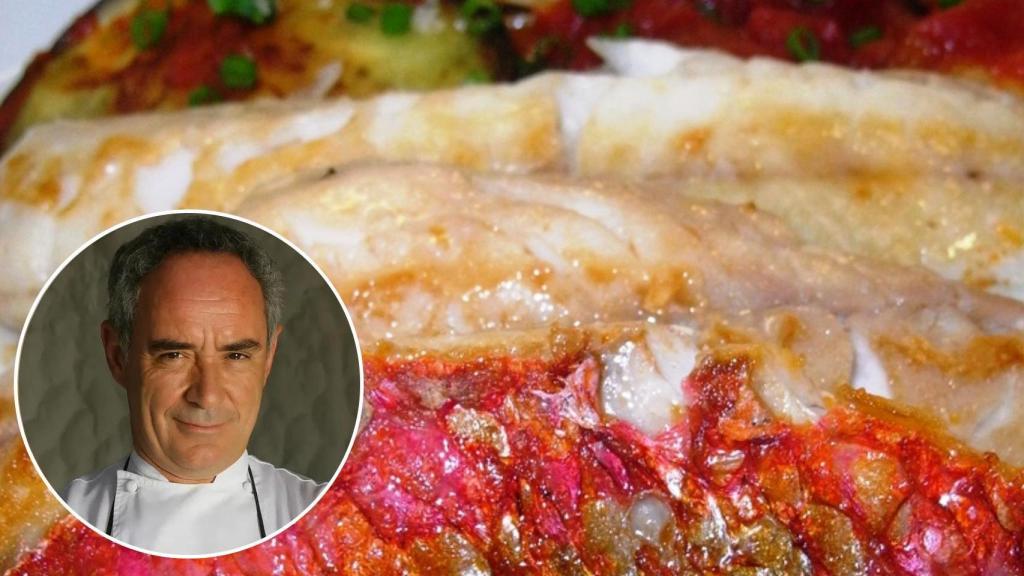 Es uno de los pescados favoritos del chef Ferran Adrià. (jlastras/Flickr)
