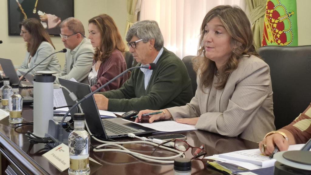 La rectora de la ULE, Nuria González, presidiendo el Consejo de Gobierno