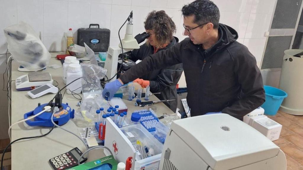 Investigadores de la ULE estudian el impacto de las olas de calor en la trucha arcoíris