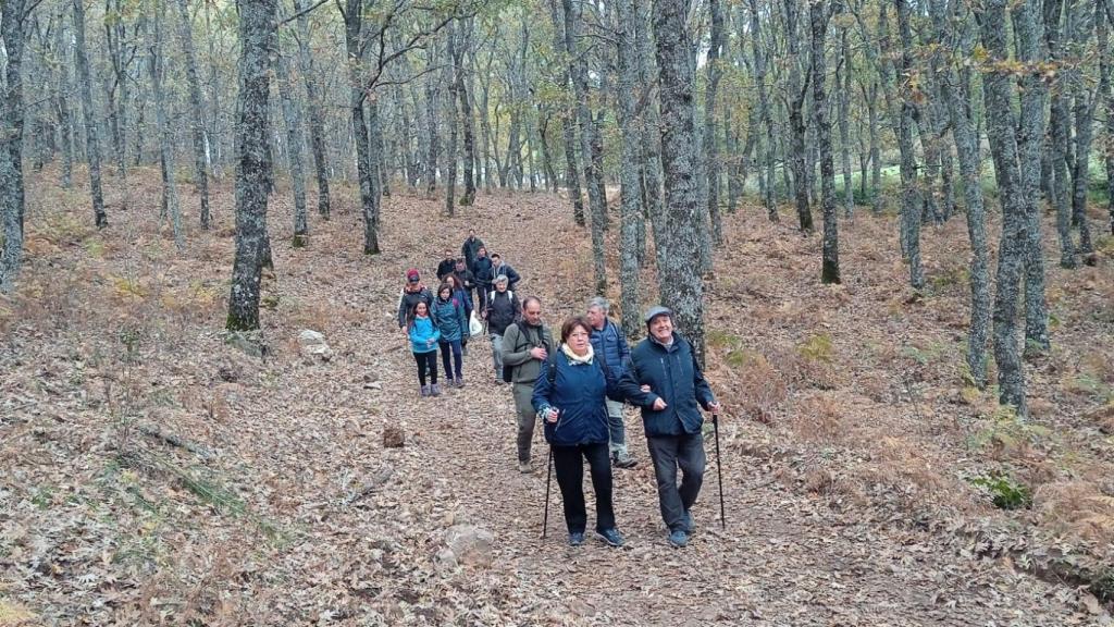 Ruta en la Sierra de San Vicente.