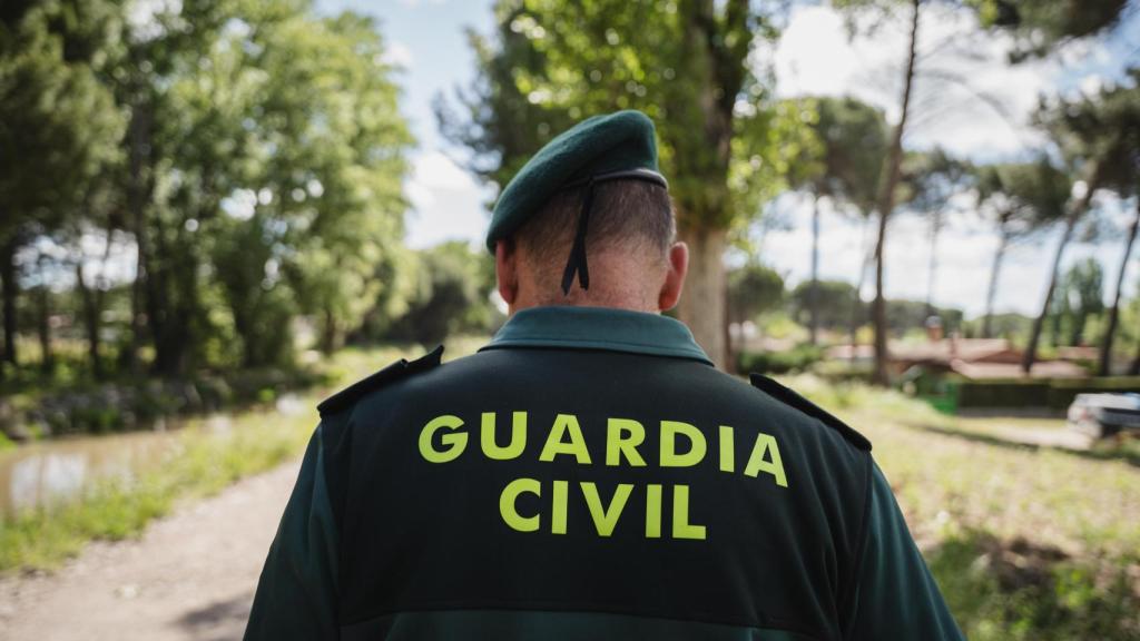 El agente se dirige a una tala ilícita de árboles en Tudela de Duero (Valladolid).