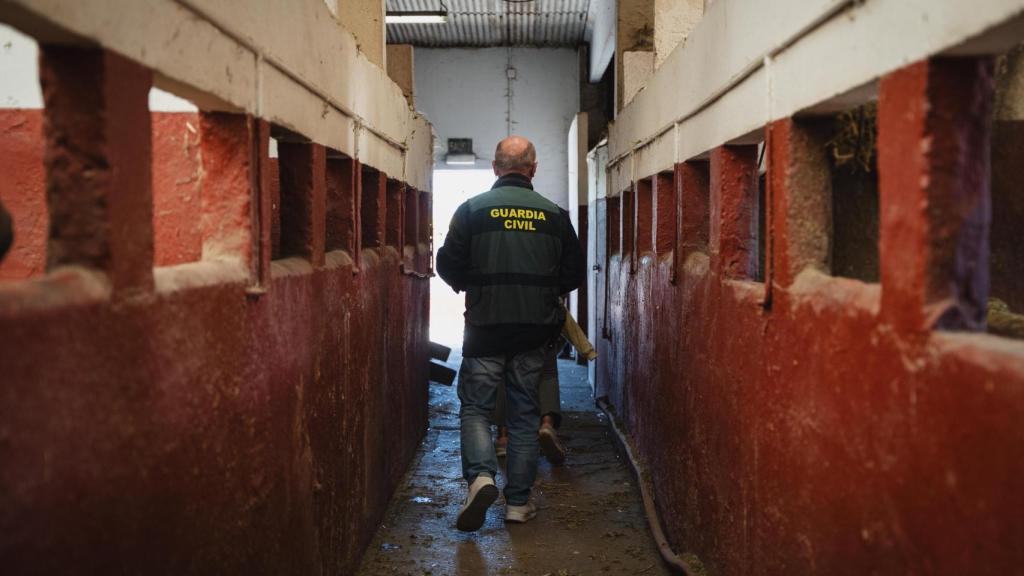 Uno de los miembros de la unidad inspecciona un centro ecuestre.