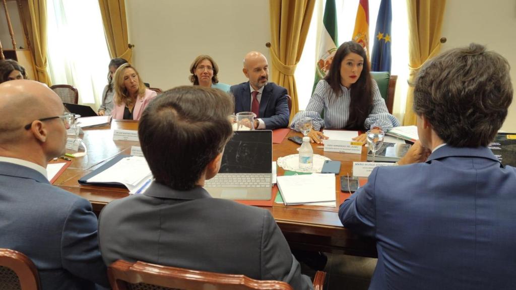 Imagen de la reunión técnica celebrada este martes en la Subdelegación del Gobierno en Málaga.