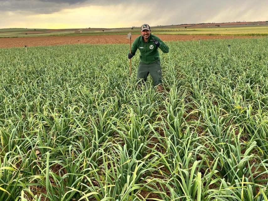 Jesús en sus campos.
