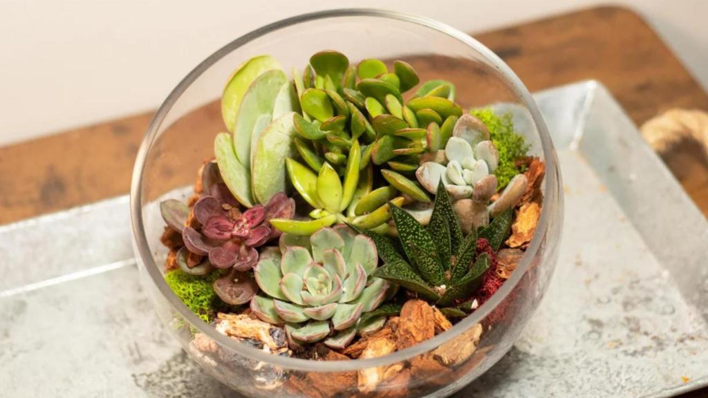 Un regalo perfecto que se convirtió en el producto estrella de Costco en Estados Unidos.