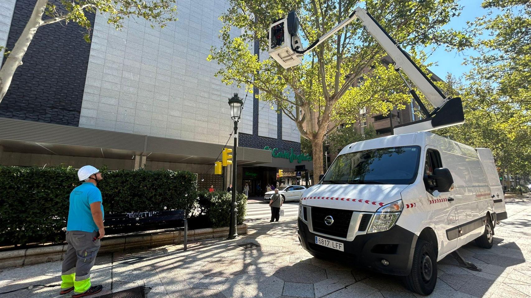 Primeros trabajos para la Navidad, en paseo Sagasta.